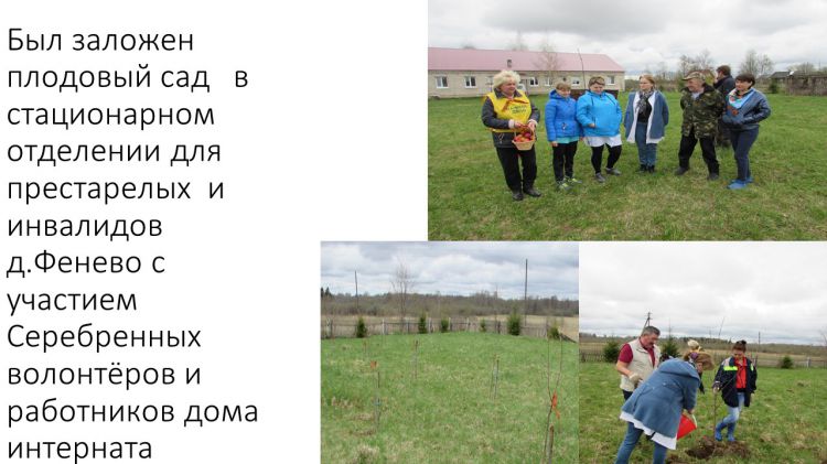 Мероприятия на 9 мая в Кесовогорском районе с участием органов Социальной защиты населения
